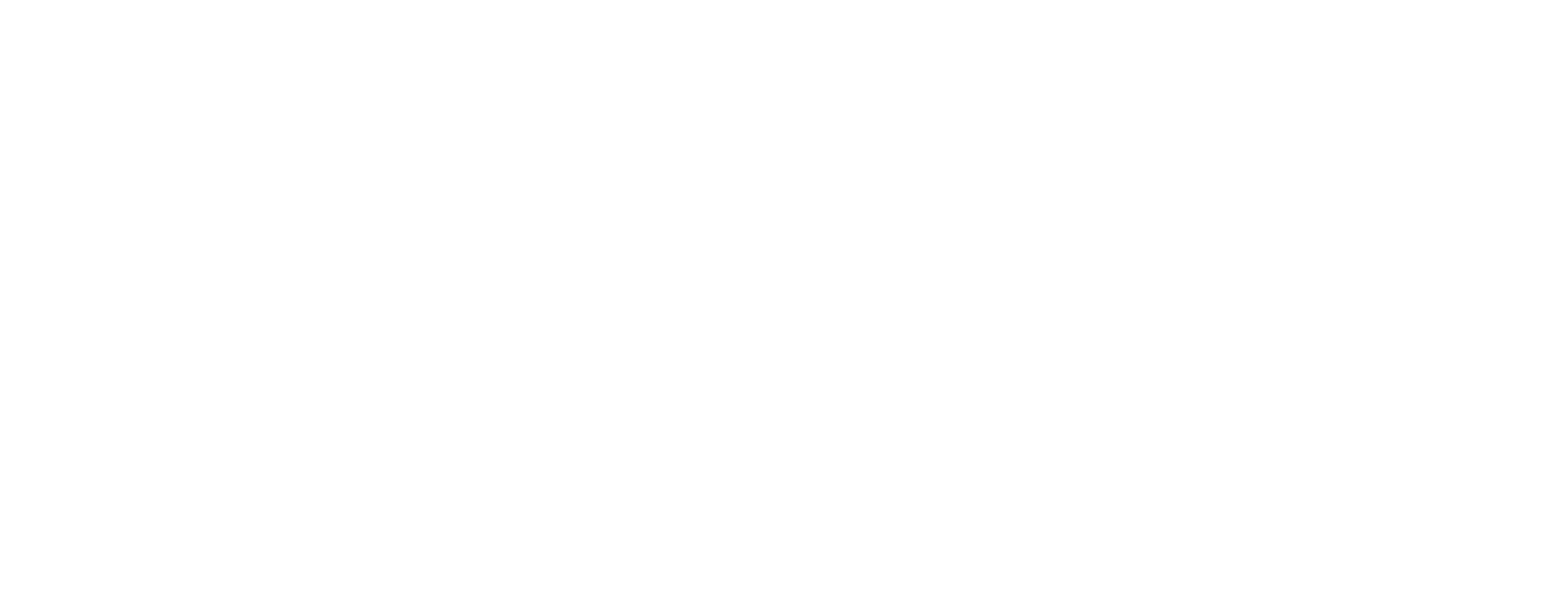 Noid+ | Digitally Fun